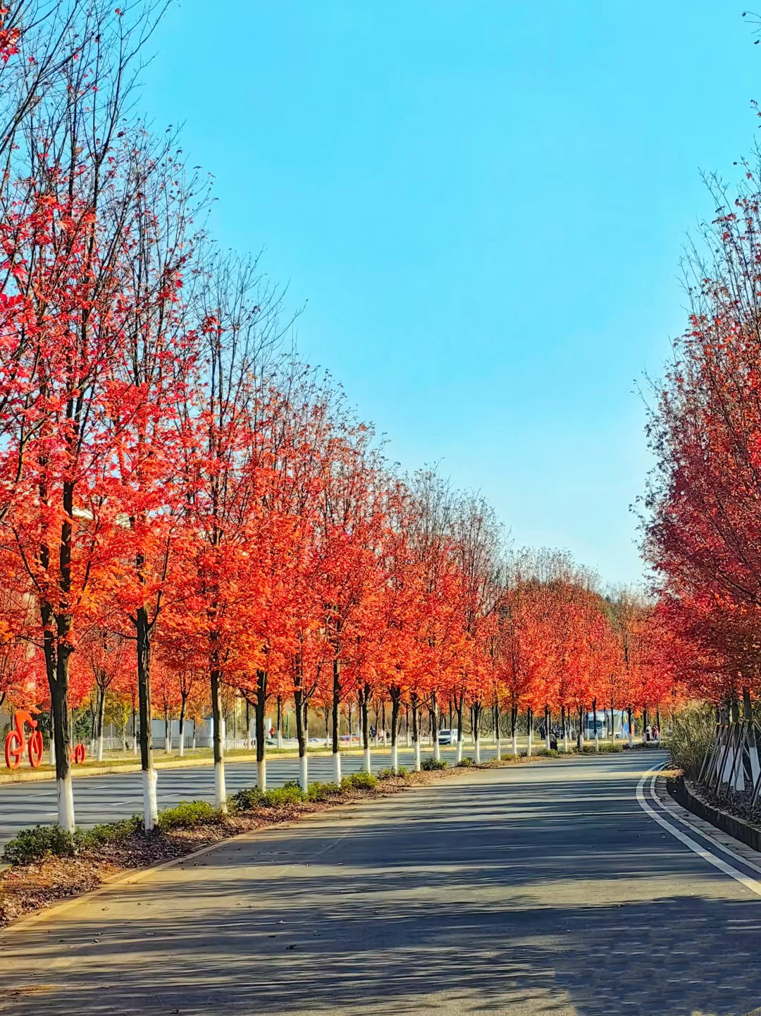 已使用 益陽(yáng)網(wǎng)紅大道，圖源于紅網(wǎng).jpg