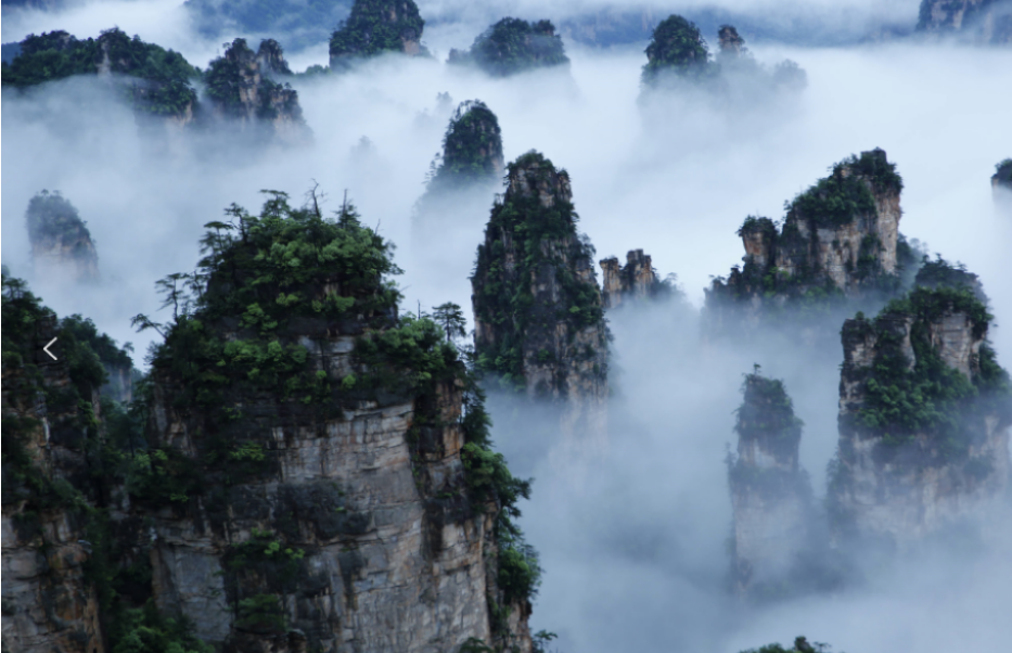 康養(yǎng)游大勢已至，張家界武陵源區(qū)點(diǎn)“藥”成金
