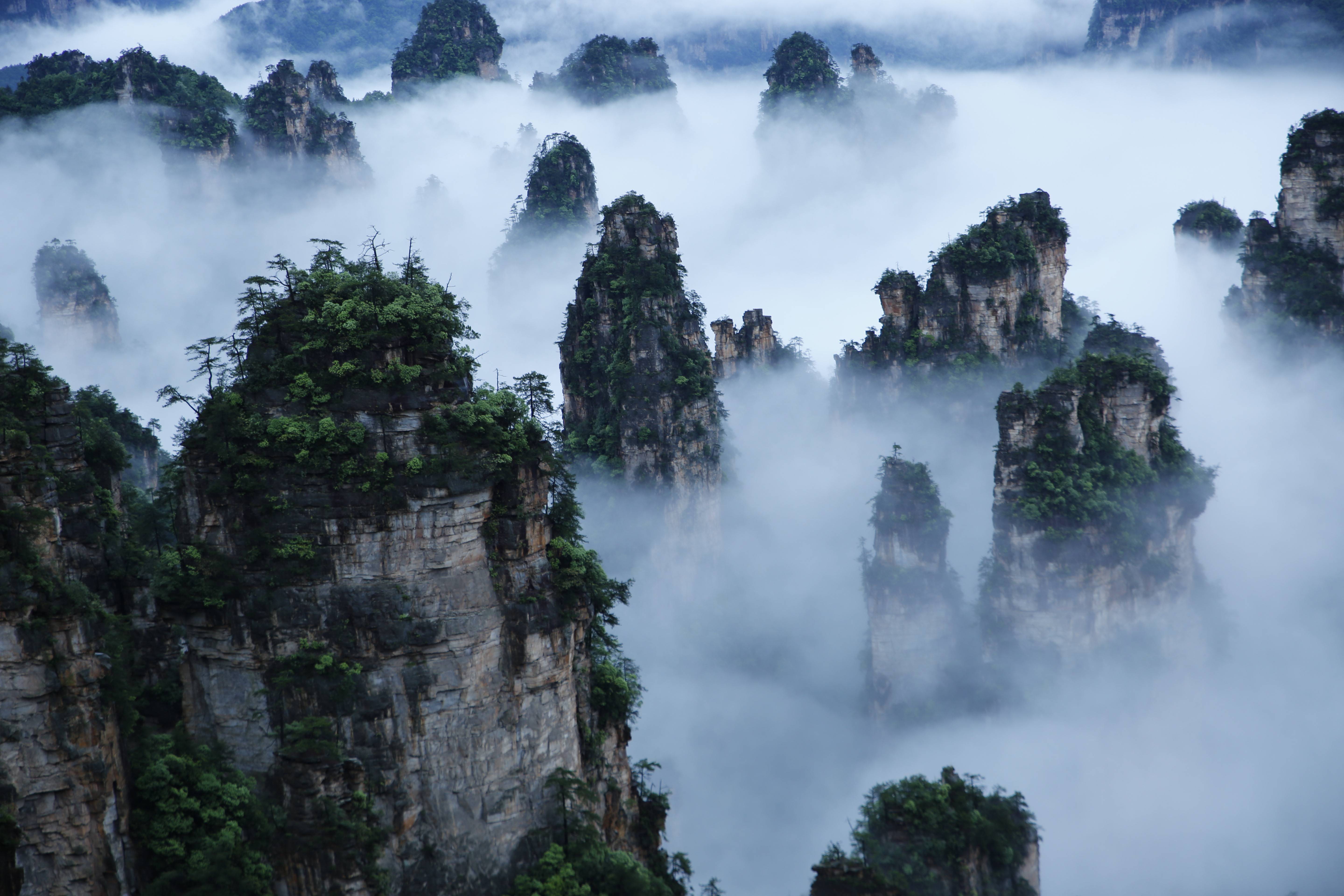 武陵源景區(qū)天子山云海，圖源：湖南日?qǐng)?bào).jpeg